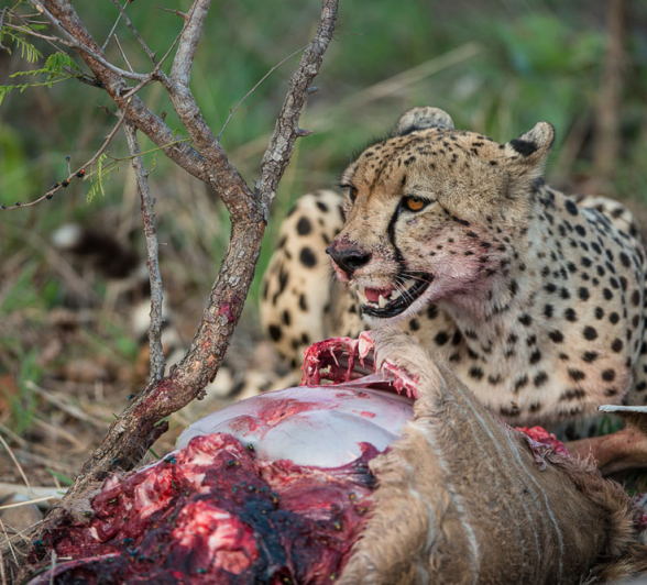 HighlightsOct Nov7.Terry 