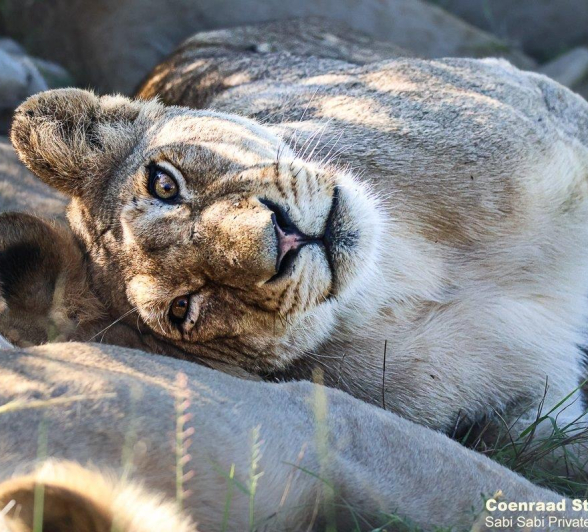 A16Coenraad Stapelberg Styx 030123 2 Final