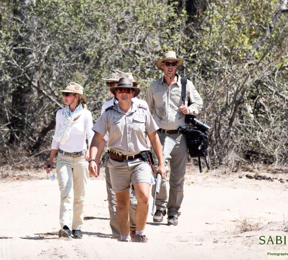 Why you need to come (back) on Safari Sabi Sabi