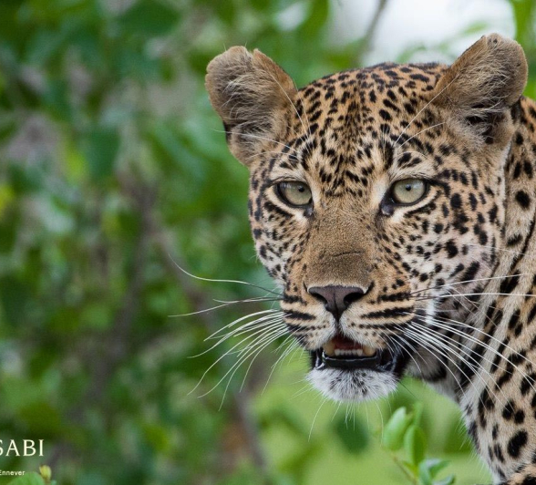 10Terry Ennever Hlarulini 261216 3 Final