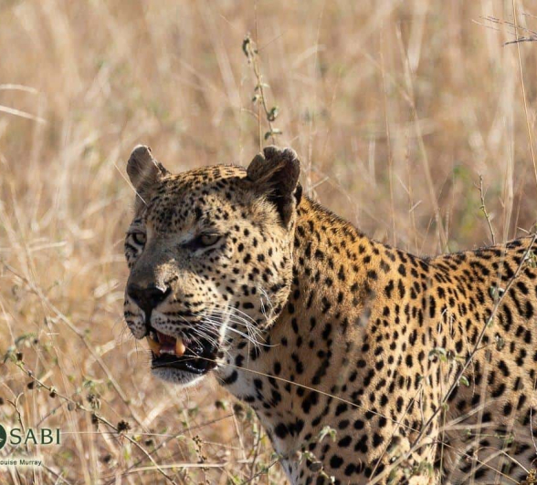 37Louise Murray Max 27052019 Final 37Louise Murray Max 27052019 Final