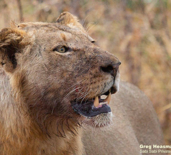 15Greg Heasman Styx 28072020 2 Final