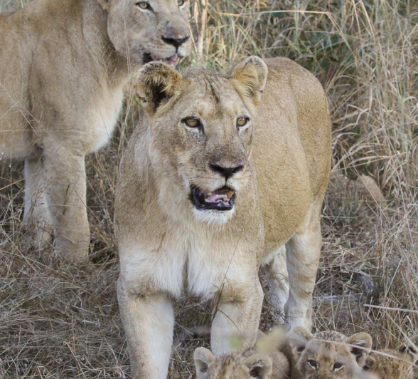 B04Erin Herbst Styx Pride 3 230521 Final