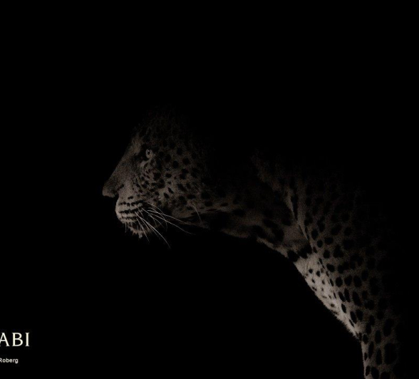 24Kerry Lee Roberg Max 100519.1 Final