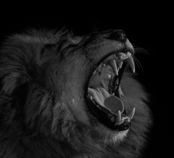 Pravir Patel SRM 02 Pravir Patel SRM 02