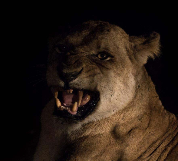 04Sheldon Hooper SP Full