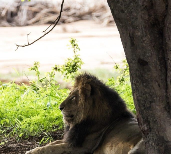 14Sheldon Hooper Charleston 09 01 17 Final 14Sheldon Hooper Charleston 09 01 17 Final
