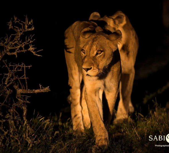 10Terry Ennever SP 26218 1 Final