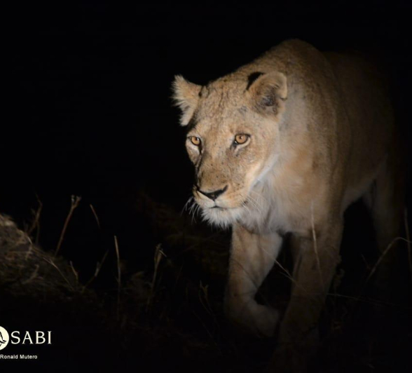 22Ronald Mutero Styx 28072019 3 Final 22Ronald Mutero Styx 28072019 3 Final