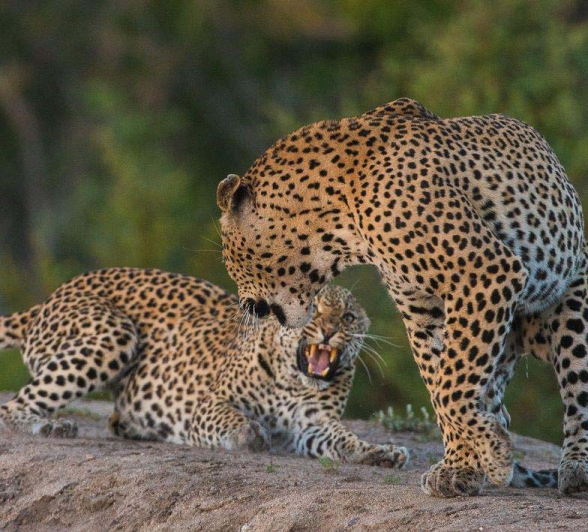 19Terry Ennever Wd And Max1 4 3 16 19Terry Ennever Wd And Max1 4 3 16