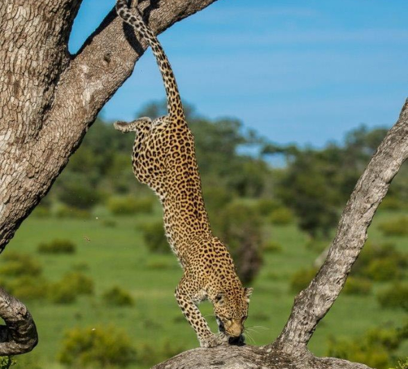 21Kyle 11 Jan 2017 LBC Explore 5 Final 21Kyle 11 Jan 2017 LBC Explore 5 Final