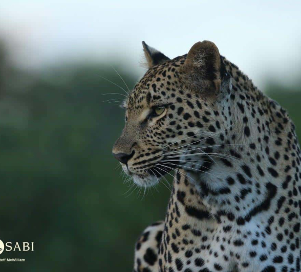 04Steff McWilliam Blog03 Final