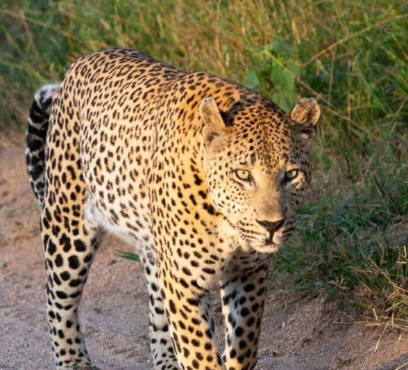 19Louise Murray Max 13042019 3 Final