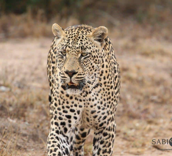 26Steff McWilliam Nweti 09062019 Final 26Steff McWilliam Nweti 09062019 Final