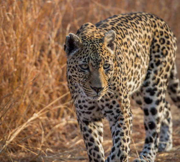 Nottins 2 Nottins 2