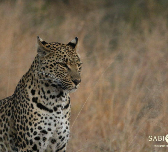 24Steff McWilliam Ntsumi 06062019 Final 24Steff McWilliam Ntsumi 06062019 Final