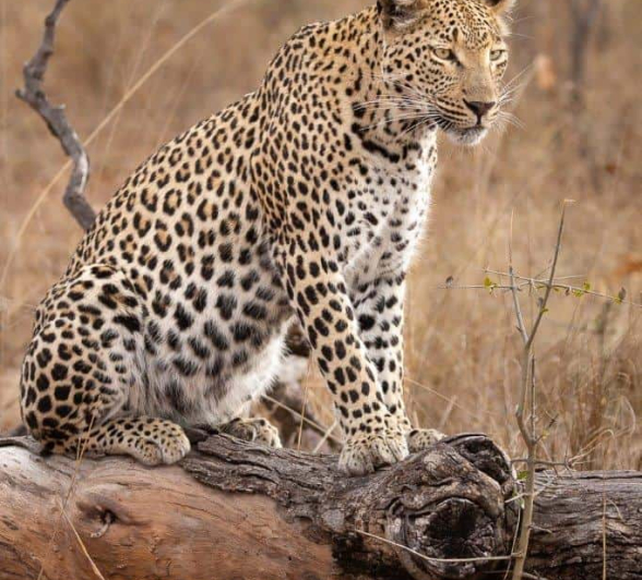 38Greg Heasman Ntsumi 020920 2 Final 38Greg Heasman Ntsumi 020920 2 Final