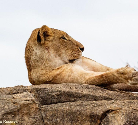 B12ronald Mutero Sp Andd Cubs 17082021 7 B12ronald Mutero Sp Andd Cubs 17082021 7