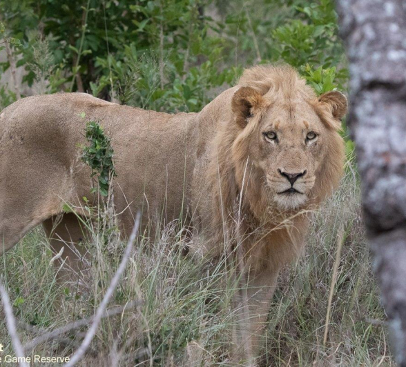 A44Jason Street Nkuhlu Males 041222 3. Final