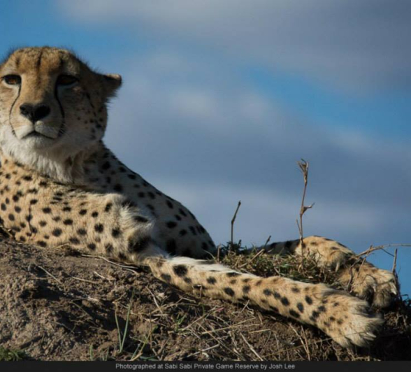 942410 547362571978065 315418777 N