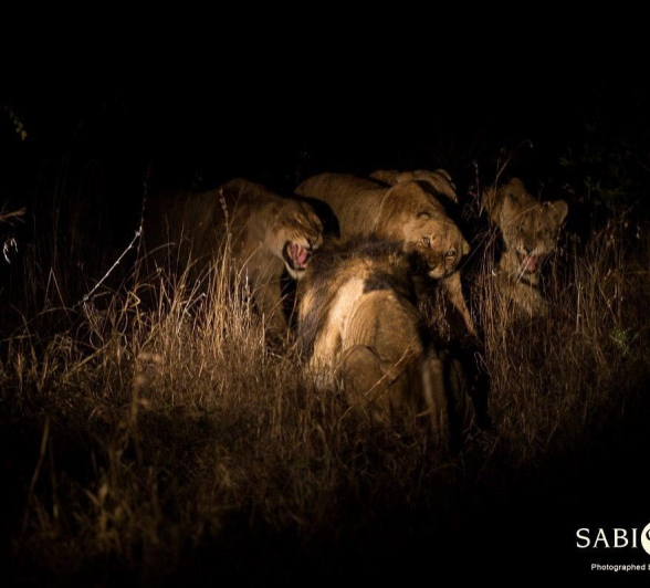 31Franscois Rosslee Charleston1 Final