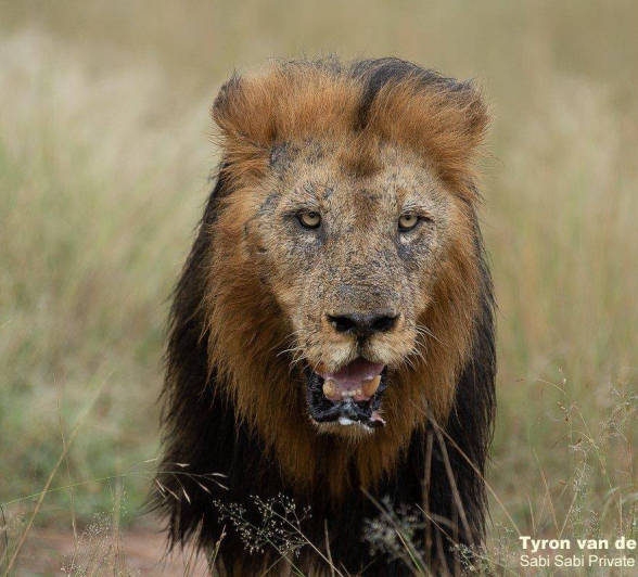 15Tyron Van Der Walt Birmingham Males 160420 5 Final