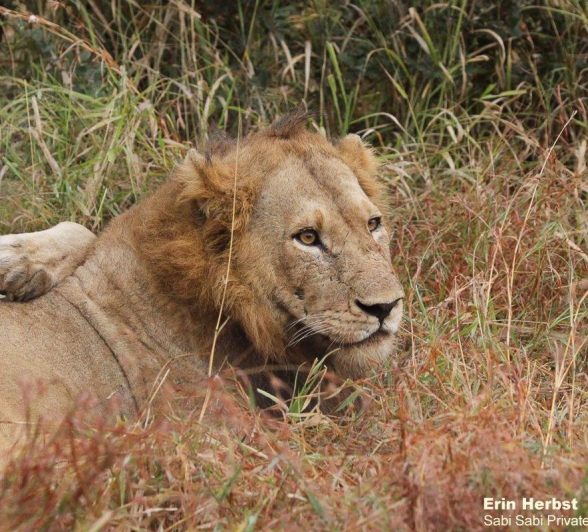 07Erin Herbst Nwasiwshaka 2 070521 Final