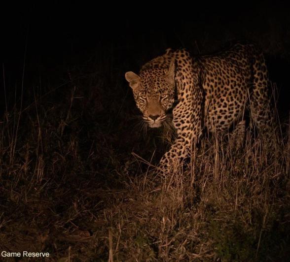 A27Jason Street Nweti 150622. Final A27Jason Street Nweti 150622. Final
