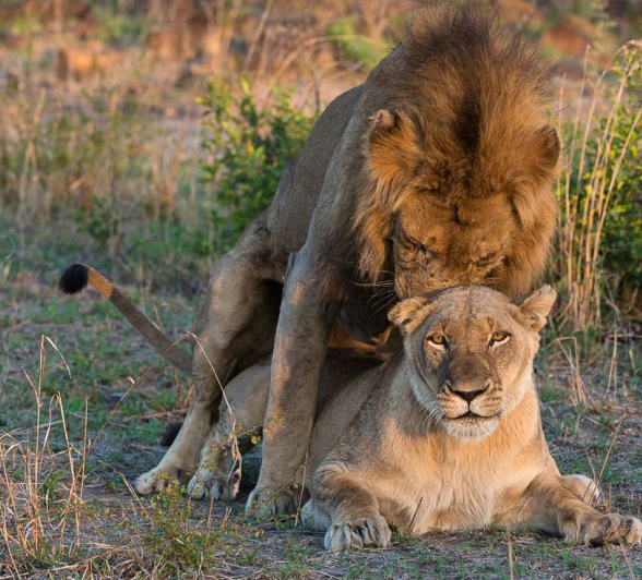 12Terry Ennever Highlights Sept Oct 5