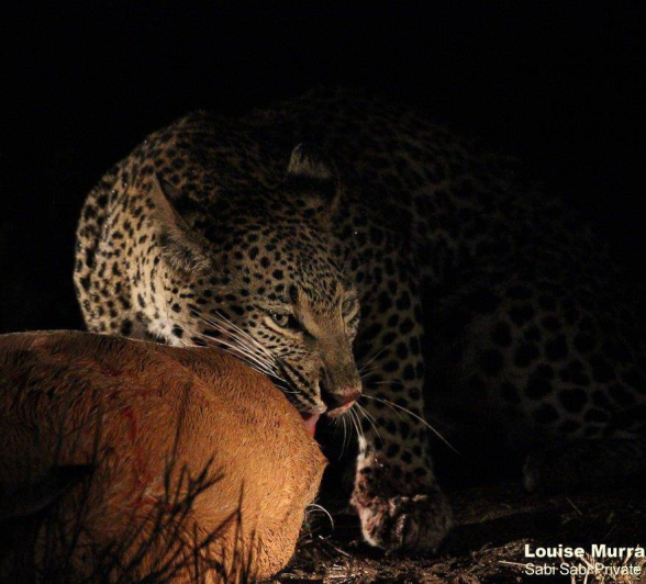 10Louise Murray Ntsumi 27052020 9 Final 10Louise Murray Ntsumi 27052020 9 Final