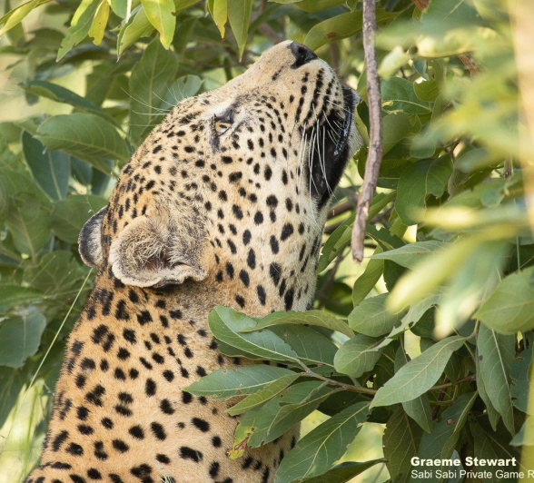 21Graeme Stewart White Dam 140321 2  Final