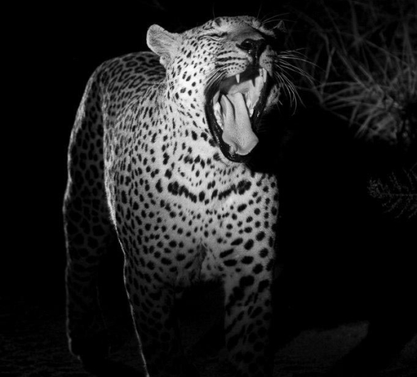 12Kyle 13 March 17 Max  3 Final