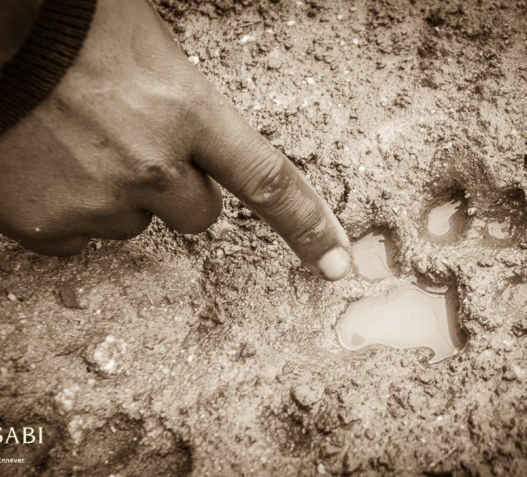 02Terry Ennever Sydney Tracks 1 Final