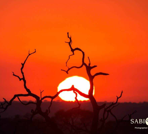 01Frederik Aucamp Sunrise Final 01Frederik Aucamp Sunrise Final