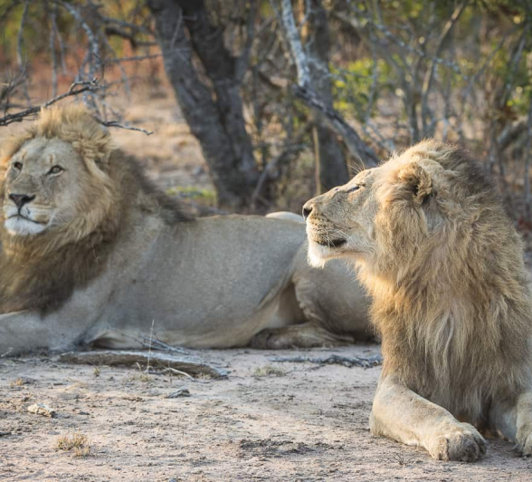 17 Terry Ennever Avoca 2018821 1