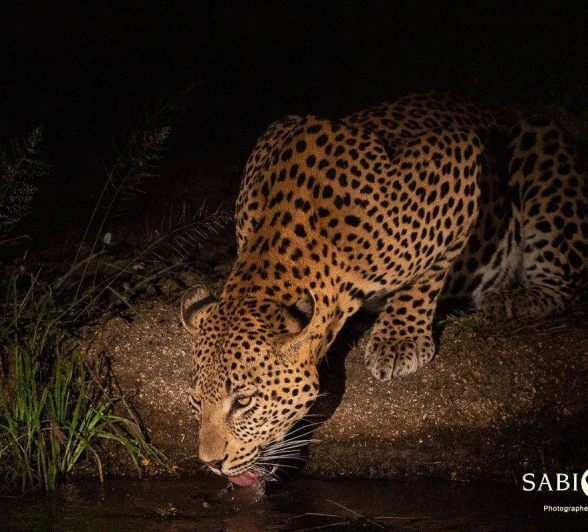 06Louise Murray WD 09042019 2 Final