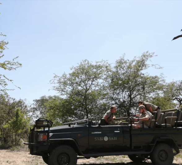 04Amy Roberts Big Birding 2019 04Amy Roberts Big Birding 2019