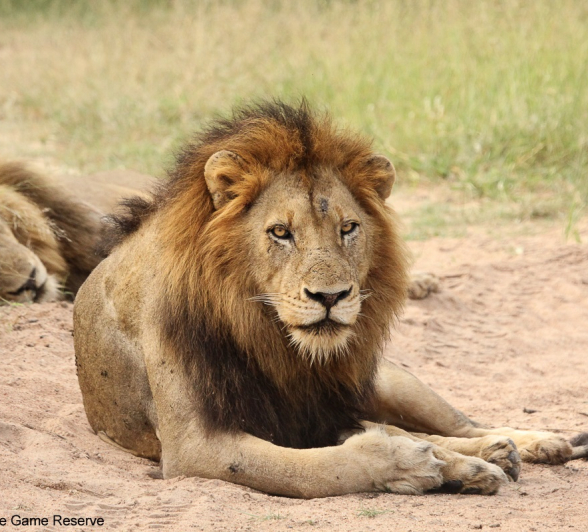 A17Erin Herbst Nwas 050222 Final