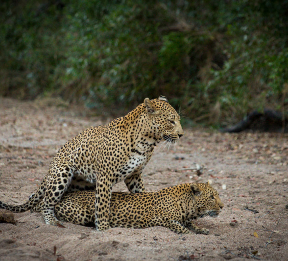 Maxabeni And White Dam Pravir Maxabeni And White Dam Pravir