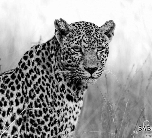 18Pravir Patel Nottins Final 18Pravir Patel Nottins Final
