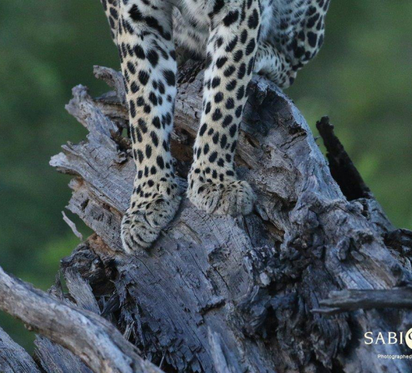 06Steff McWilliam Blog05 Final