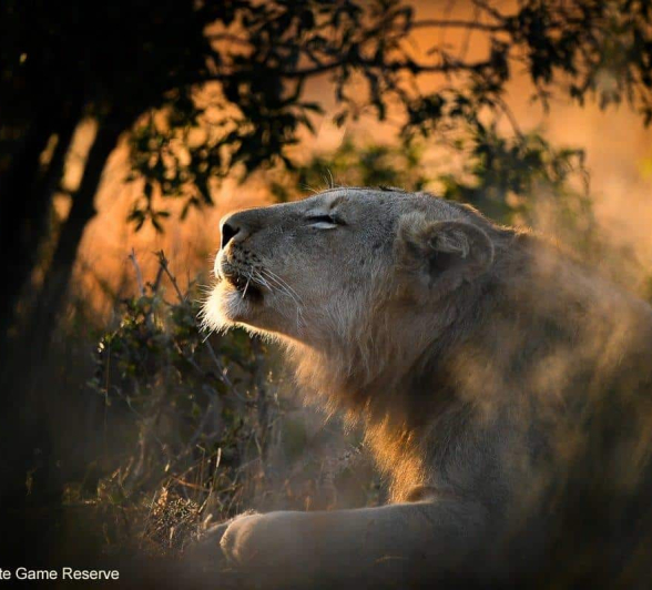 28Ally Ross 202000607 Plains Camp Male 01 Final