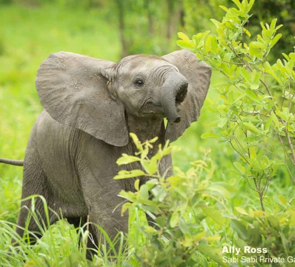 20PHOTO 2020 10 12 11 03 44 Final