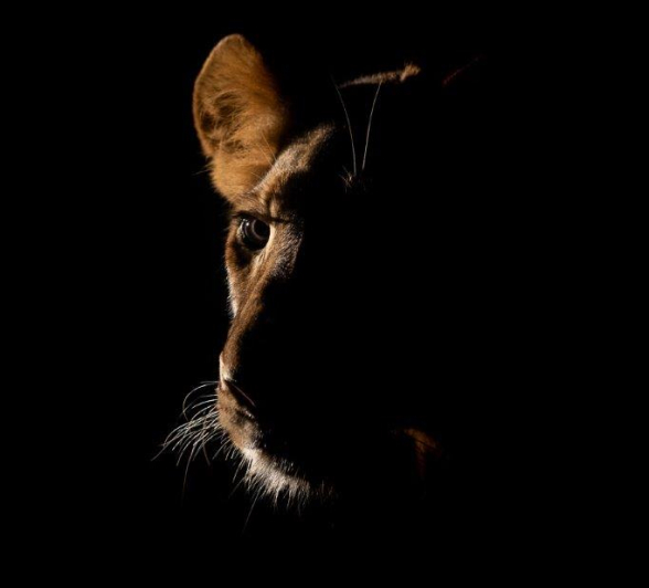 A19Graeme Stewart SP 190622 Final A19Graeme Stewart SP 190622 Final