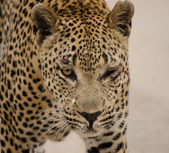 Photo Steve Max Photo Steve Max