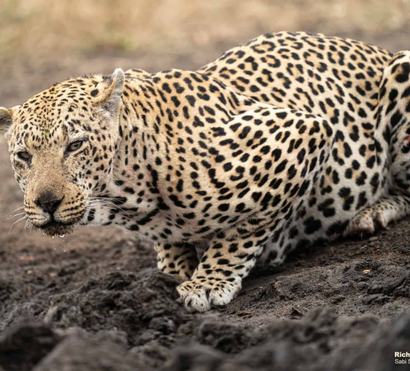 24Xovo Rich 9205349 FINAL