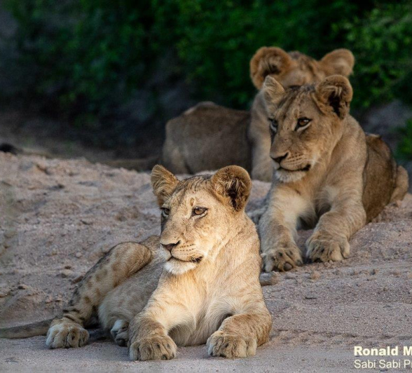 A13Ronald Mutero Stix And Nwash 12122021  6 Final A13Ronald Mutero Stix And Nwash 12122021  6 Final