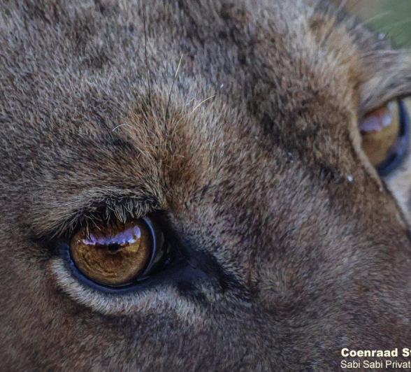 A17Coenraad Stapelberg Styx 030123 1 Final