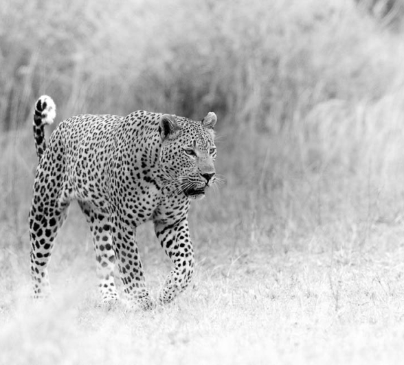 Maxabeni 04 Maxabeni 04