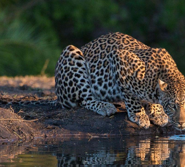 03Terry Ennever Hlarulini2 7 3 16 03Terry Ennever Hlarulini2 7 3 16